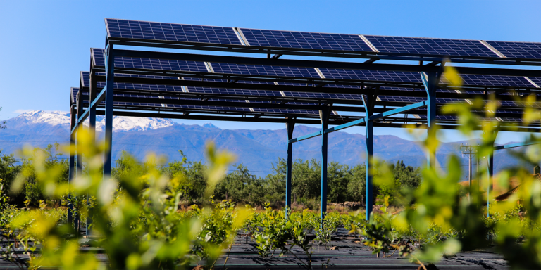 Unas placas fotovoltaicas.