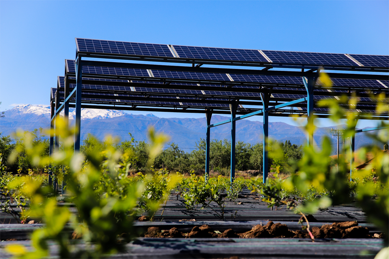 Unas placas fotovoltaicas.