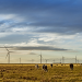 El complejo MacIntyre será el mayor parque eólico de Acciona en Australia con una capacidad de 1.026 MW