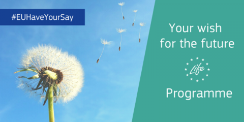 Abierta una consulta pública online sobre el programa LIFE 2021-2027 que abordará la transición energética