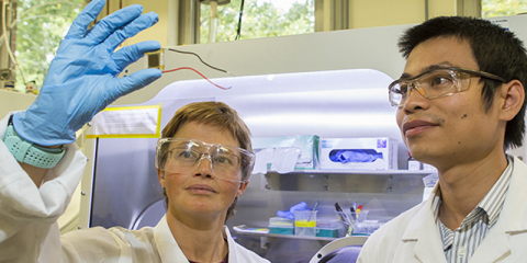 La Universidad de Australia desarrolla células solares de perovskita y silicio con una eficiencia cercana al 30%