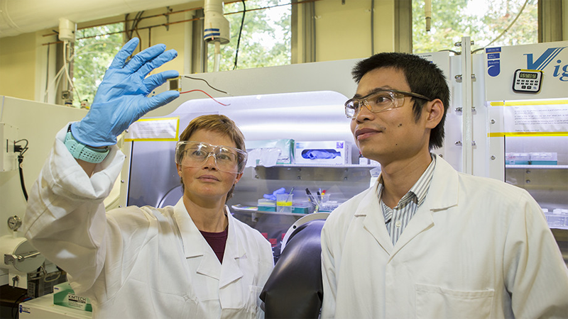 El equipo de ANU trabaja en el desarrollo de 'células solares en tándem', lo que implica apilar una célula solar de perovskita encima de una célula de silicio, o duplicarla para extraer más energía de la luz solar. 