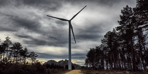 Crean una gran alianza europea para reclamar una recuperación verde en la estrategia económica de la UE