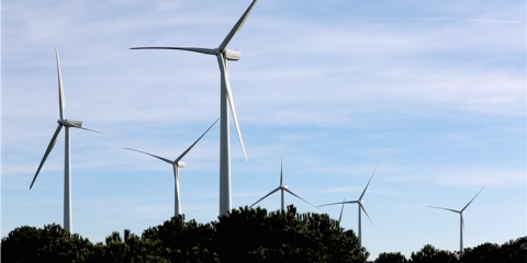 Impulso a la inversión en renovables en la comarca de Velilla en Castilla y León