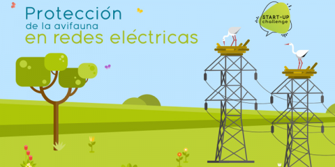 Start-up Challenge para minimizar el impacto de las líneas eléctricas en el medio ambiente