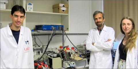 La Universidad de León estudia nuevos sistemas para almacenar energías renovables