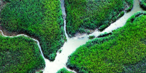 Informe sobre soluciones y estrategias de redes eléctricas para un futuro de energía limpia