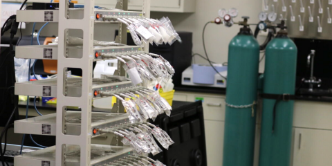 Descubren el comportamiento de los óxidos metálicos en el almacenamiento de energía