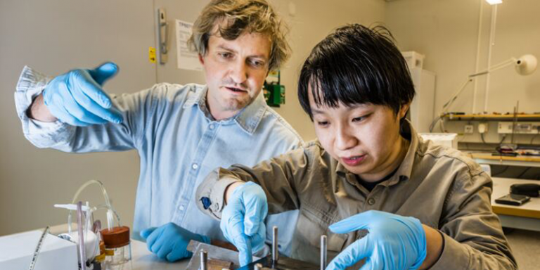 Investigadores de la Universidad Linköping, en Suecia, desarrollan una batería orgánica de flujo redox