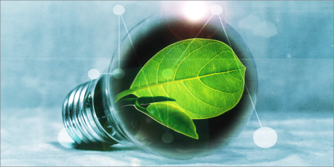 Segunda emisión de bonos verdes del ICO para impulsar la transición ecológica