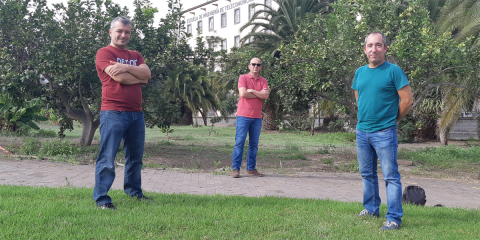 Investigan la fusión de redes neuronales artificiales para la producción de energía solar