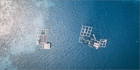 ‘Bahía H2 Offshore’ desarrollará un sistema de producción de hidrógeno y amoniaco en el mar