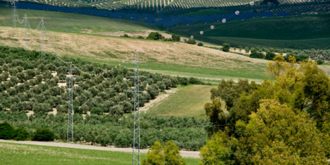 Casi el 20% del consumo total de energía en Andalucía en 2019 fue de origen renovable