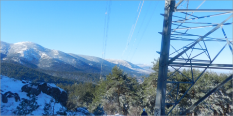Red Eléctrica destaca la resiliencia del sistema eléctrico durante el temporal