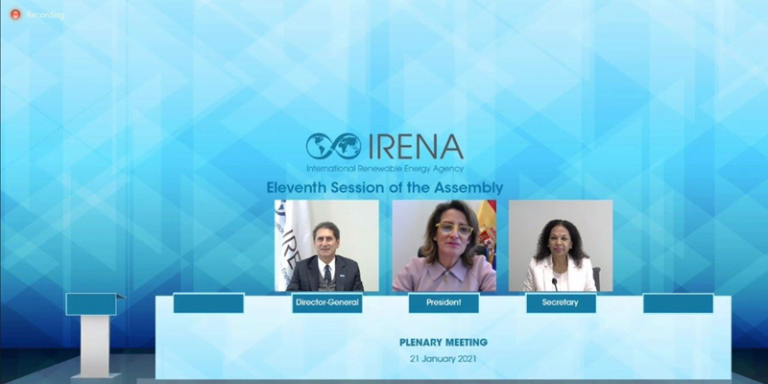 XI Asamblea Irena