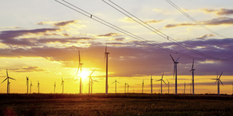 Cinco TSO europeos integran la plataforma Equigy basada en blockchain