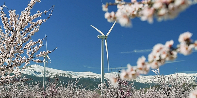 aerogenerador en andalucia