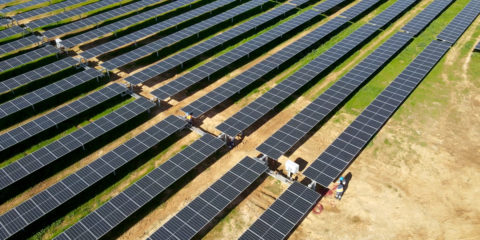 Comienza la construcción de tres plantas fotovoltaicas con una capacidad de 131 MWp en Cáceres