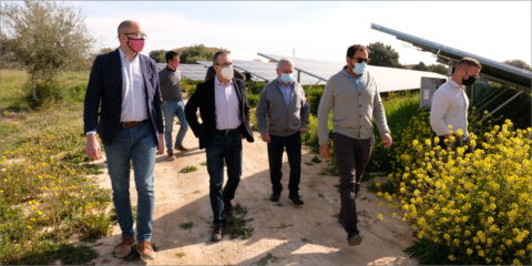 Comienza el volcado de electricidad a la red del parque fotovoltaico de Son Corcó en Mallorca