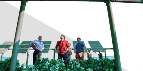 La iniciativa Renaissance elabora una encuesta sobre la aceptación social de la transición energética