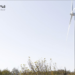 Nuevo acuerdo que contempla la instalación de 120 MW en cuatro parques eólicos en España