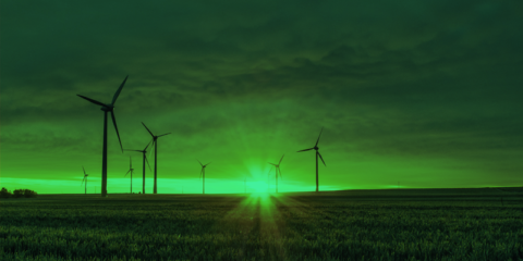 Cleantech Camp 2021 selecciona 15 start-ups europeas para seguir sus sesiones de formación