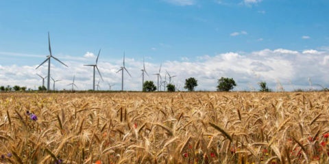 La guía de energías renovables en La Rioja informa sobre la instalación de parques eólicos y fotovoltaicos