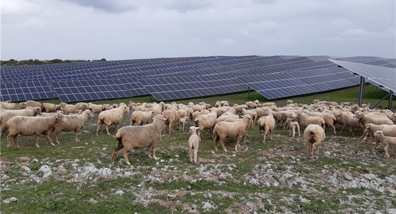 Placas solares.