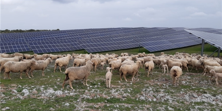 Placas solares.