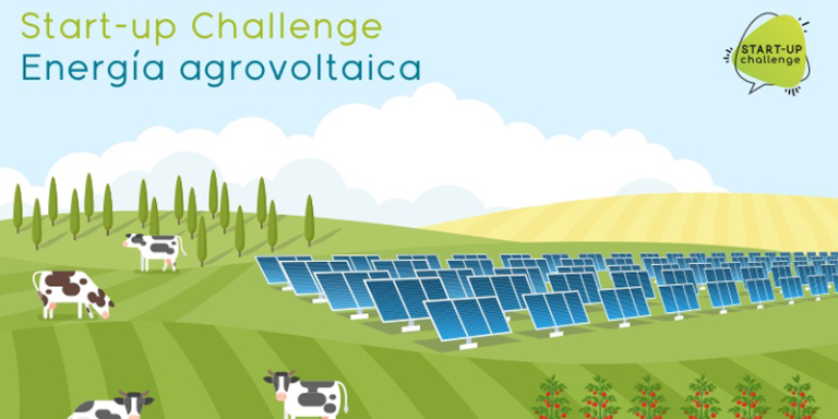 Start-up Challenge para combinar de forma sostenible parques fotovoltaicos y actividades del sector primario