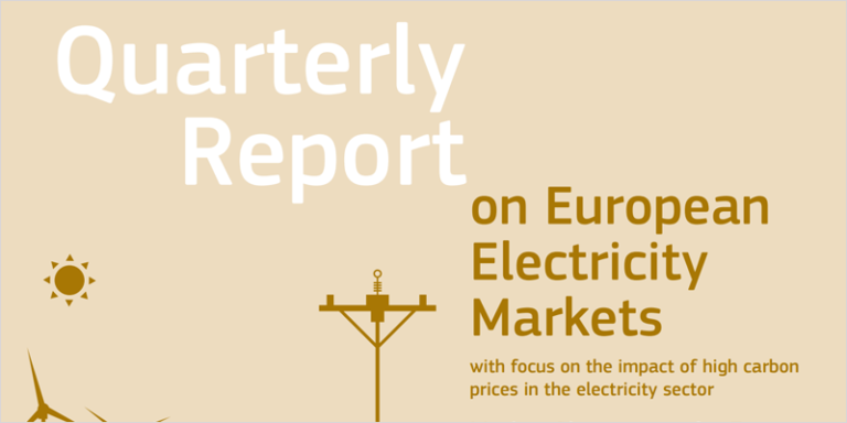 informe ce mercado electricidad