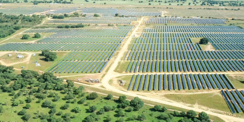 La planta fotovoltaica Valdesolar de 264 MW empieza a generar electricidad en Badajoz