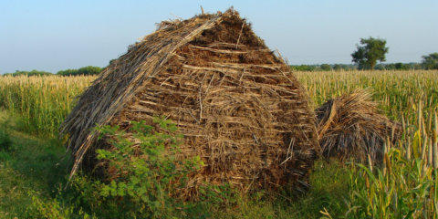 El ITE investiga en el proyecto Sinclair ánodos de silicio basado en residuos para baterías sostenibles
