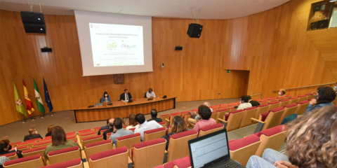 La Diputación de Granada da el primer paso para crear comunidades energéticas en 25 municipios