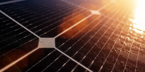 El parque fotovoltaico de San Jordi en Castellón recibe autorización para comenzar su construcción