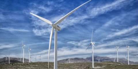 Adjudicados 3.124 MW de tecnología eólica y fotovoltaica en la nueva subasta de renovables