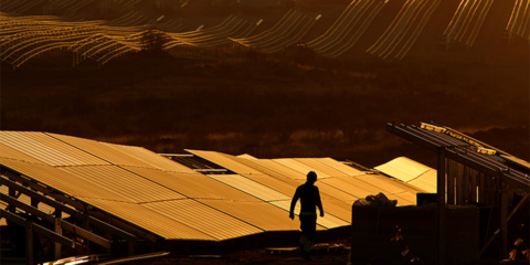 Comienza la instalación de los paneles fotovoltaicos de la planta Revilla-Vallejera en Burgos