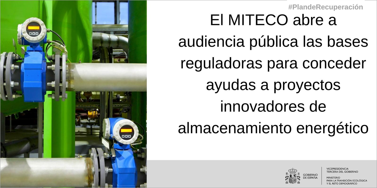 Audiencia pública de las ayudas para proyectos de I+D de almacenamiento ...