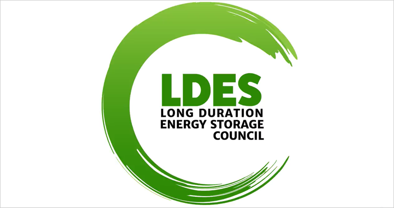 Logo Consejo LDES
