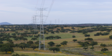 España ingresa 110 millones en la asignación de capacidad anual de intercambio con Francia y Portugal