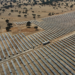 Extremadura puso en servicio el 43% de la nueva potencia solar instalada en España en 2021