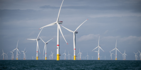 El Parlamento Europeo recomienda acelerar el despliegue de las energías renovables marinas