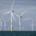 El Parlamento Europeo recomienda acelerar el despliegue de las energías renovables marinas