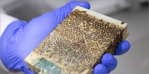 Ingeniería de superficies y TICs para resolver los retos técnicos del sector eólico offshore