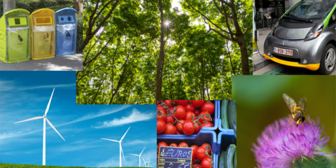 Las empresas con gran consumo de energía serán compensadas por los costes indirectos de las emisiones