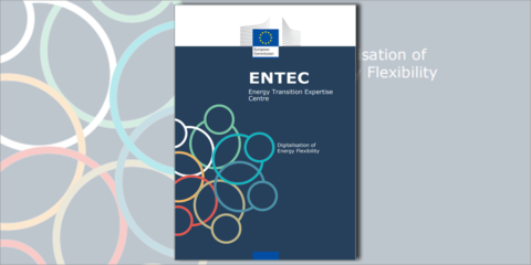 Informe de EnTEC sobre la digitalización de la flexibilidad energética en la Unión Europea