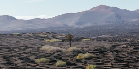 Lanzarote inicia la ordenación de infraestructuras energéticas para lograr la descarbonización en 2040