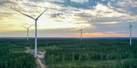 Amazon anuncia la construcción de tres nuevas plantas solares y dos parques eólicos en España