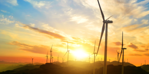 El Gobierno de Canarias autoriza 41 proyectos de energías renovables que suman 146,7 MW