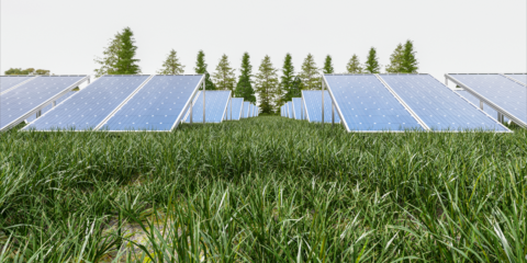 Alianza para fomentar la innovación en energías renovables mediante productos de financiación verde